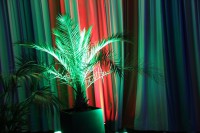 /album/fotogalerie-konzertfotografie/k-img-7532-jpg/